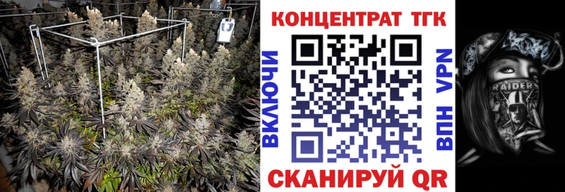MEGA маркетплейс  Константиновск  Дистиллят ТГК гашишное масло 