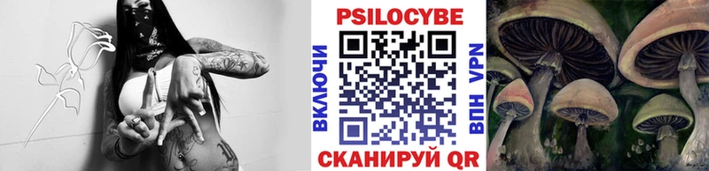 Псилоцибиновые грибы Psilocybe  Константиновск 